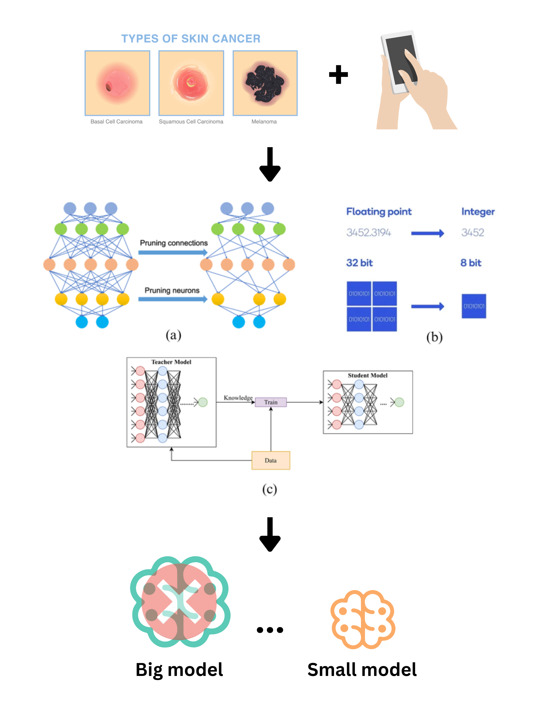 Project 1 Graphical Abstract