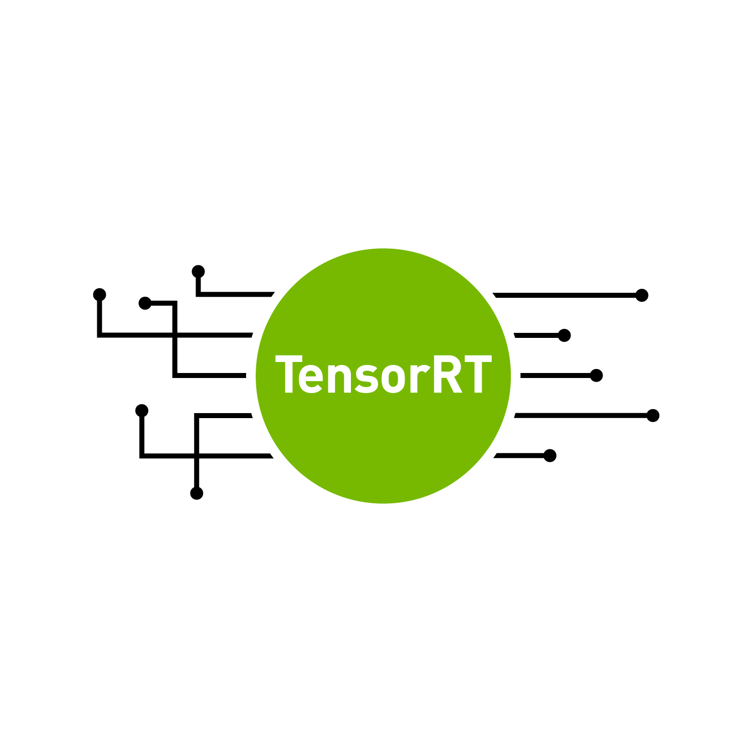 TensorRT Container Setup